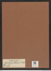 Asterodiscus johnsonii Ralfs. (de-Toni-Nr.: Genus 239, Species 5723) Zeichnungen Sammlung Grunow Mappe 05428 (Herbarium_W_Grunow_drawings_Folder_05428)